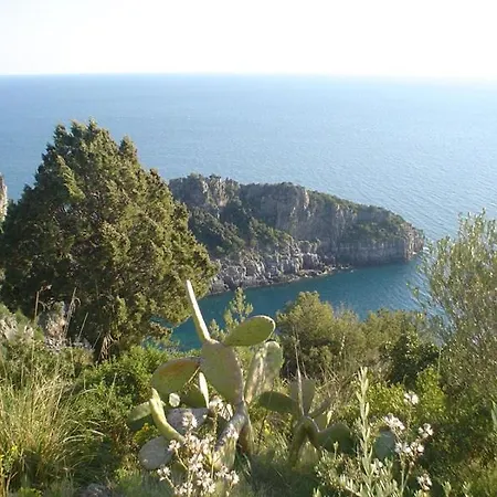 Vacanze Cilento דירה